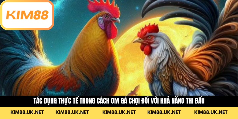 Tác dụng thực tế trong cách om gà chọi đối với khả năng thi đấu