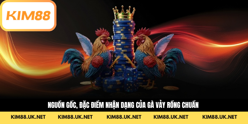 Nguồn gốc, đặc điểm nhận dạng của gà vảy rồng chuẩn 