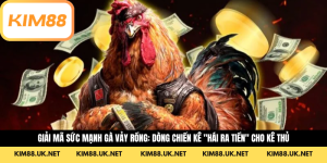 Giải Mã Sức Mạnh Gà Vảy Rồng: Dòng Chiến Kê "Hái Ra Tiền" Cho Kê Thủ