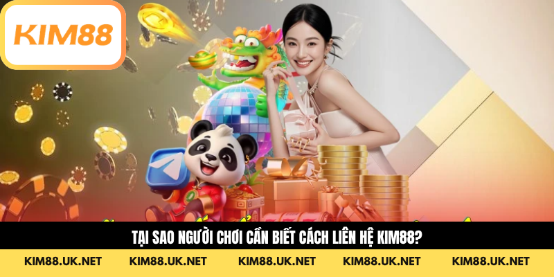 Tại sao người chơi cần biết cách liên hệ với KIM88?