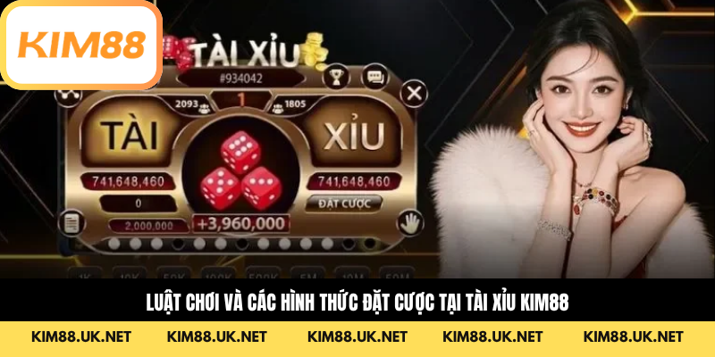 Luật chơi và các hình thức đặt cược tại tài xỉu kim88